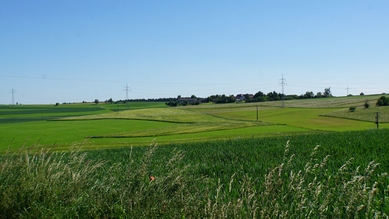 Jagdschule ALBO Jagdschein Jagdkurs Horb Freudenstadt Rottweil Herrenberg Stuttgart Lehrrevier Feldanteil 1536x864 - Das Lehrrevier